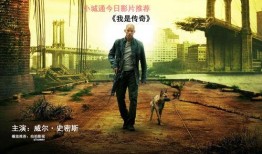 我是传奇在线观看,孤独英雄的末日求生之旅